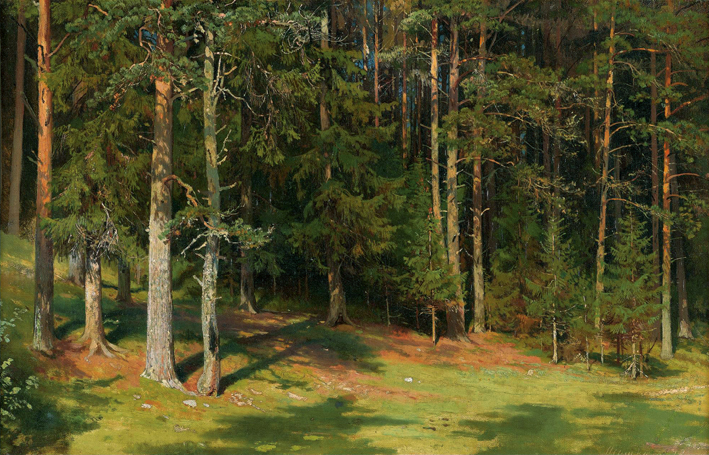 伊凡·伊凡诺维奇·希施金 Ivan I. Shishkin —— Schischkin_014